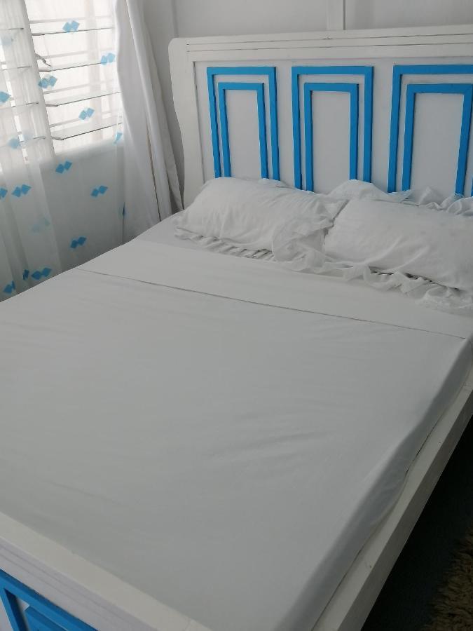 Peace Nest